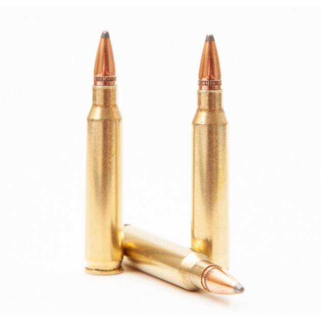 223 A/P Bullet